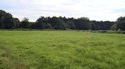 Market Drayton SHROPSHIRE