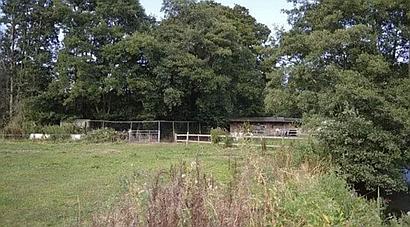 Market Drayton SHROPSHIRE