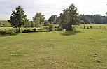 Market Drayton SHROPSHIRE