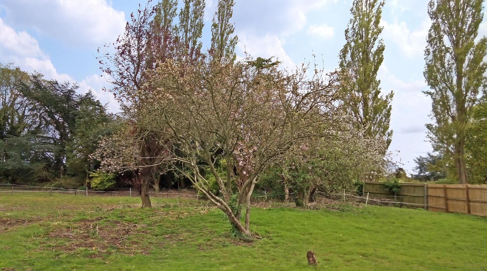 Fotherby, LINCOLNSHIRE