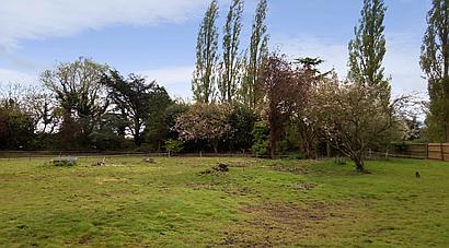 Fotherby, LINCOLNSHIRE