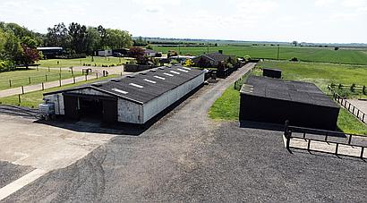 Wayhead CAMBRIDGESHIRE