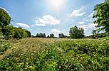 Halton Holegate LINCOLNSHIRE