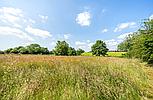 Halton Holegate LINCOLNSHIRE