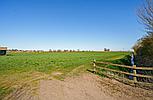 Littleport CAMBRIDGESHIRE