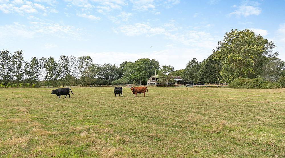 Chatteris CAMBRIDGESHIRE