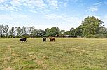Chatteris CAMBRIDGESHIRE