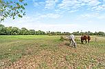 Chatteris CAMBRIDGESHIRE
