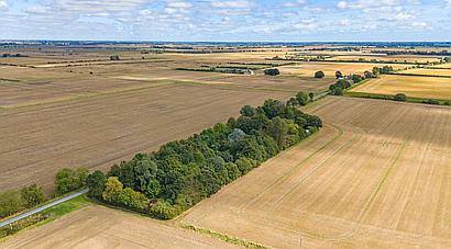 Pointon Fen LINCOLNSHIRE