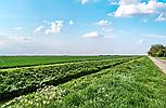 Wrangle LINCOLNSHIRE