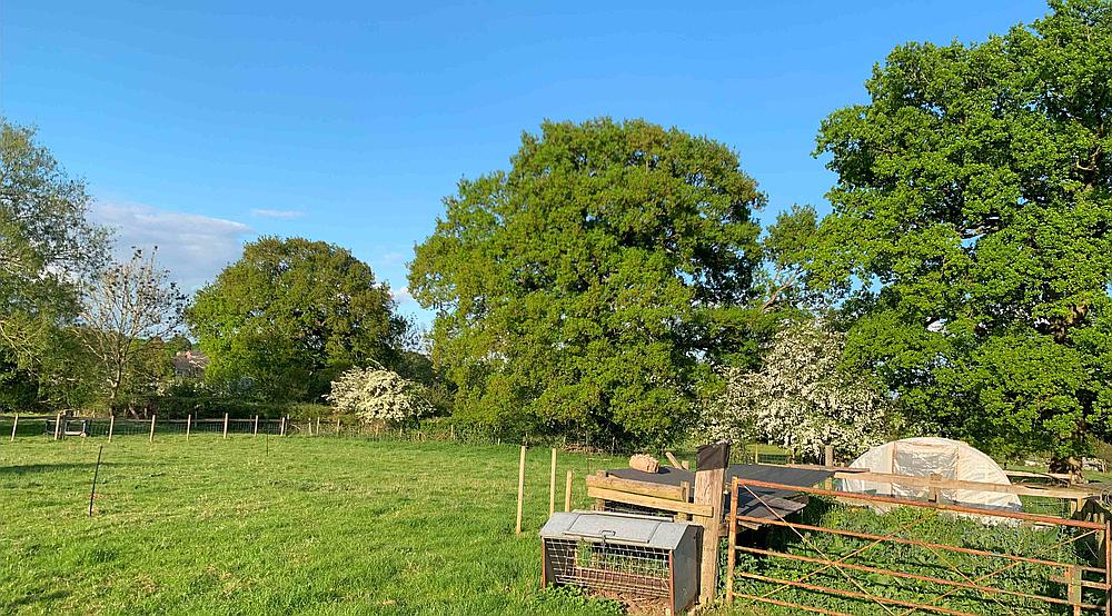 Earlswood WEST MIDLANDS