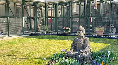 Norton SOUTH YORKSHIRE