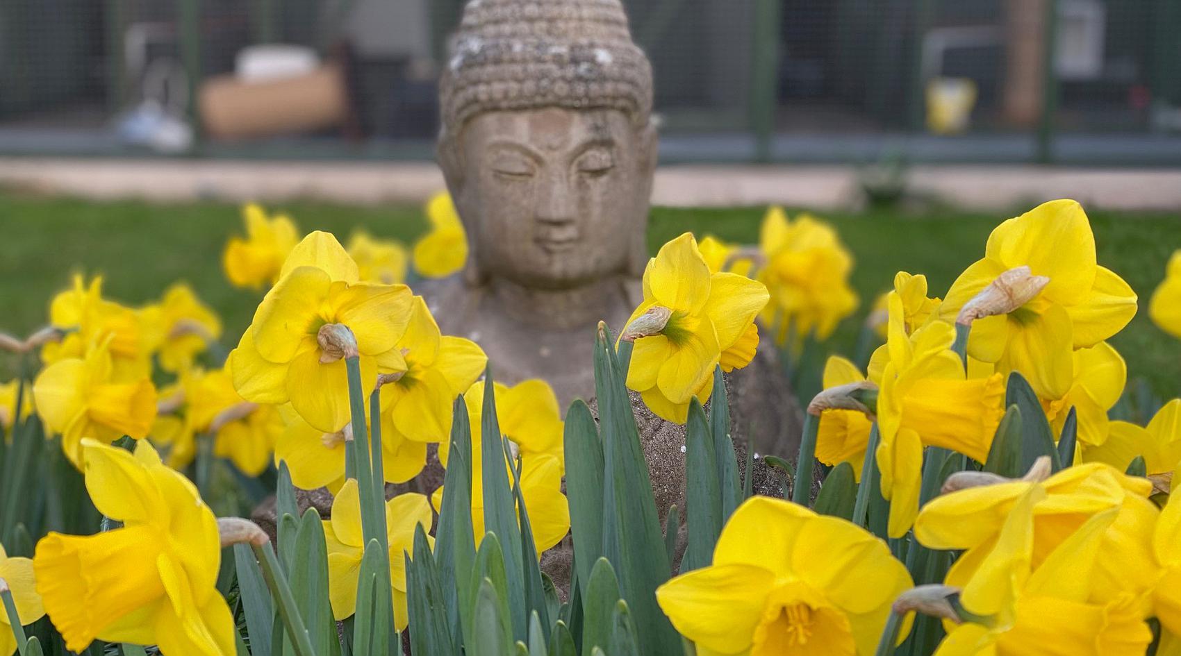 Norton SOUTH YORKSHIRE