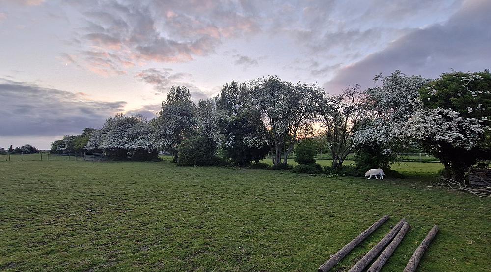 New Bolingbroke LINCOLNSHIRE