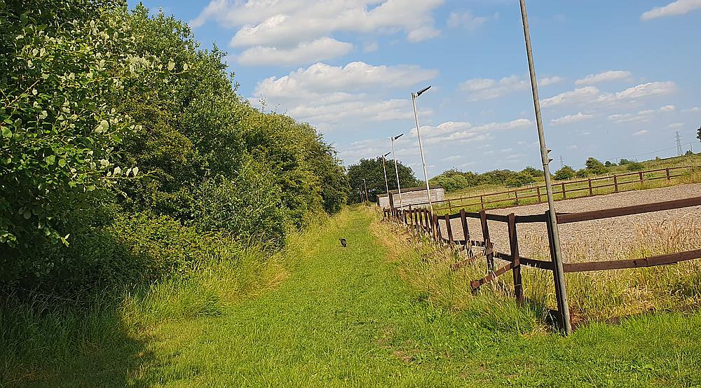 Peterborough CAMBRIDGESHIRE
