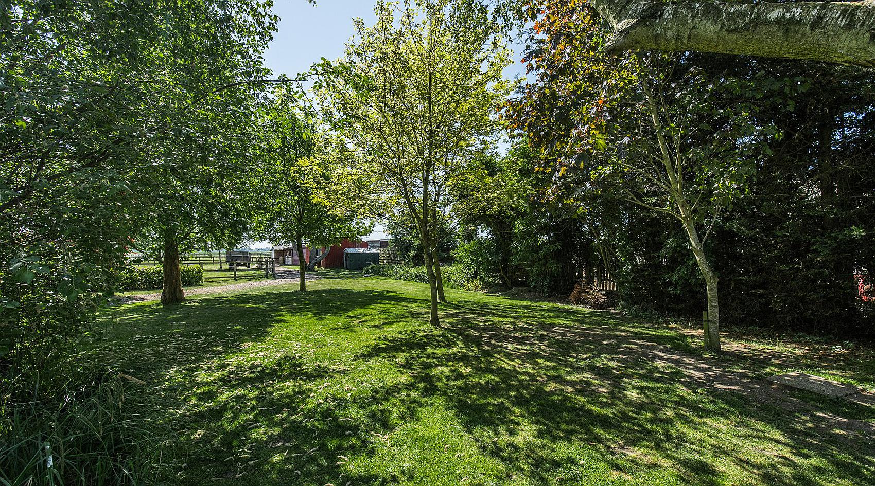 Downham Market NORFOLK