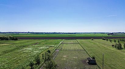 Downham Market NORFOLK