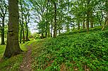 Mancetter WARWICKSHIRE