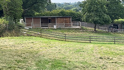 Stanley Common DERBYSHIRE