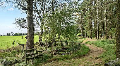 Llansannan DENBIGHSHIRE