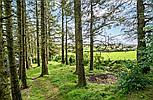 Llansannan DENBIGHSHIRE