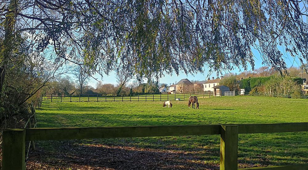 Somersham CAMBRIDGESHIRE