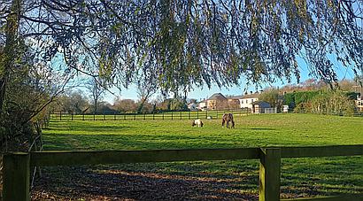 Somersham CAMBRIDGESHIRE