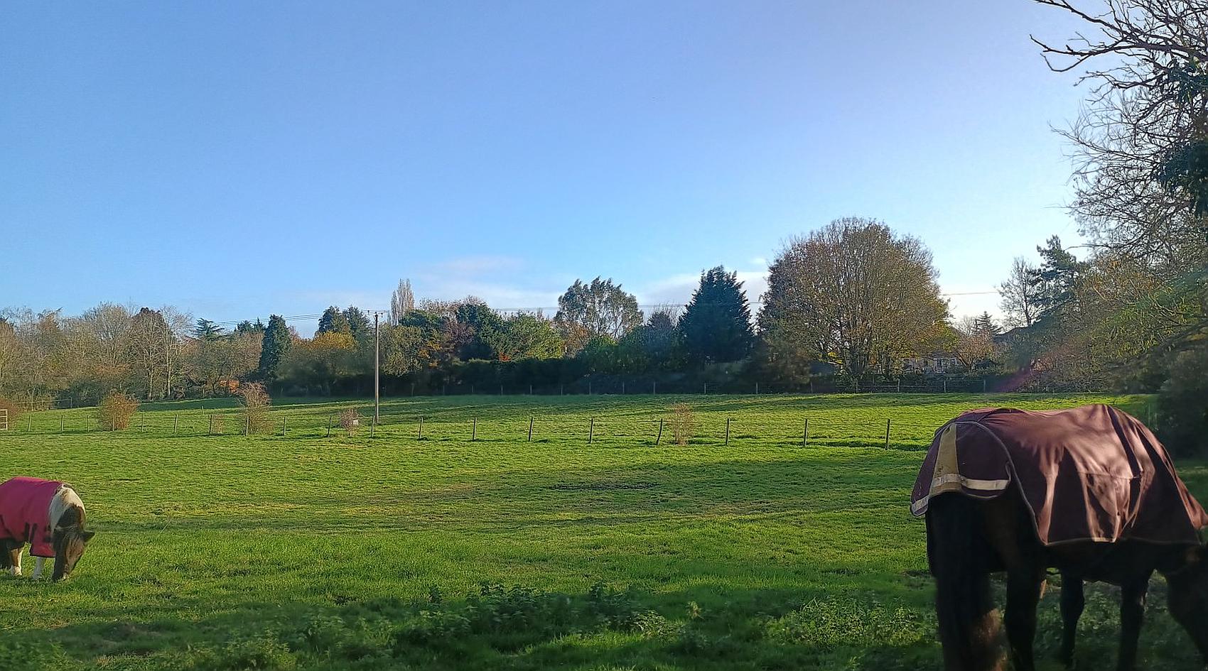 Somersham CAMBRIDGESHIRE