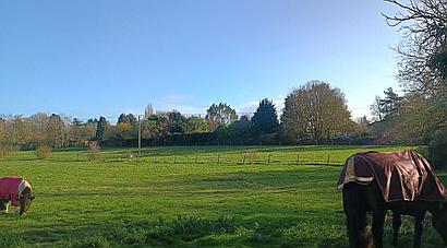 Somersham CAMBRIDGESHIRE