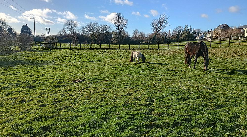 Somersham CAMBRIDGESHIRE