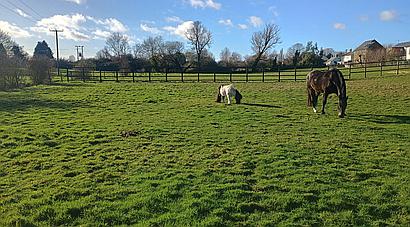 Somersham CAMBRIDGESHIRE