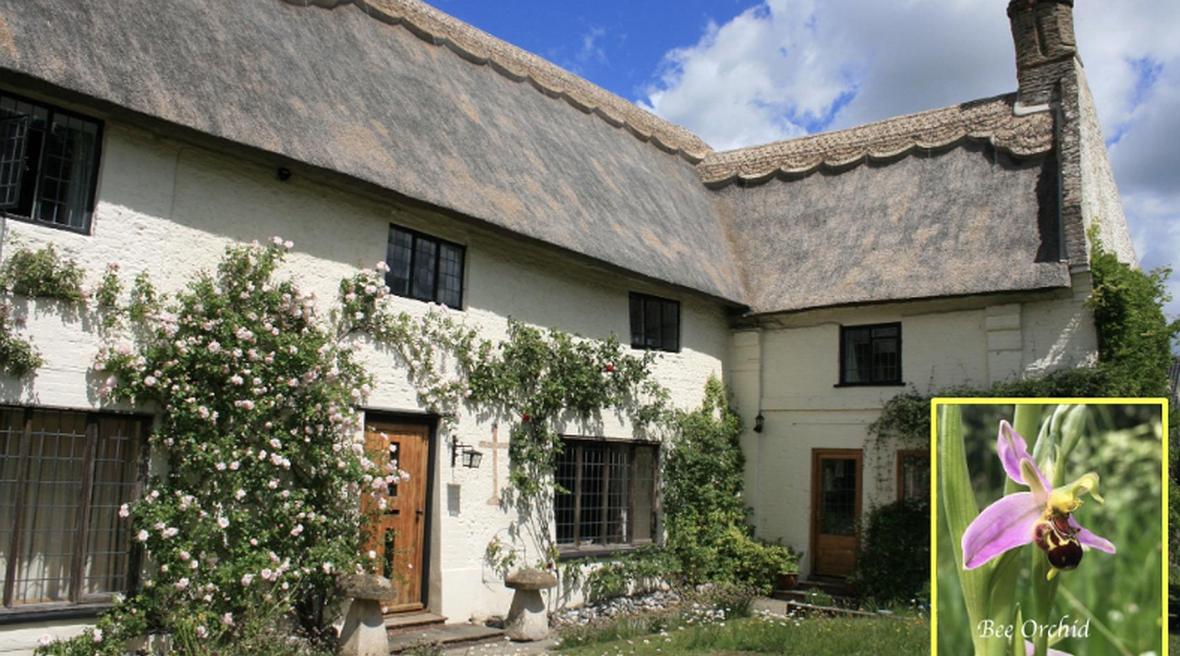 Strumpshaw NORFOLK