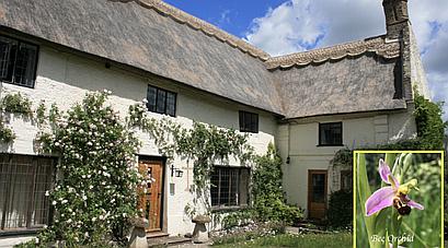 Strumpshaw NORFOLK