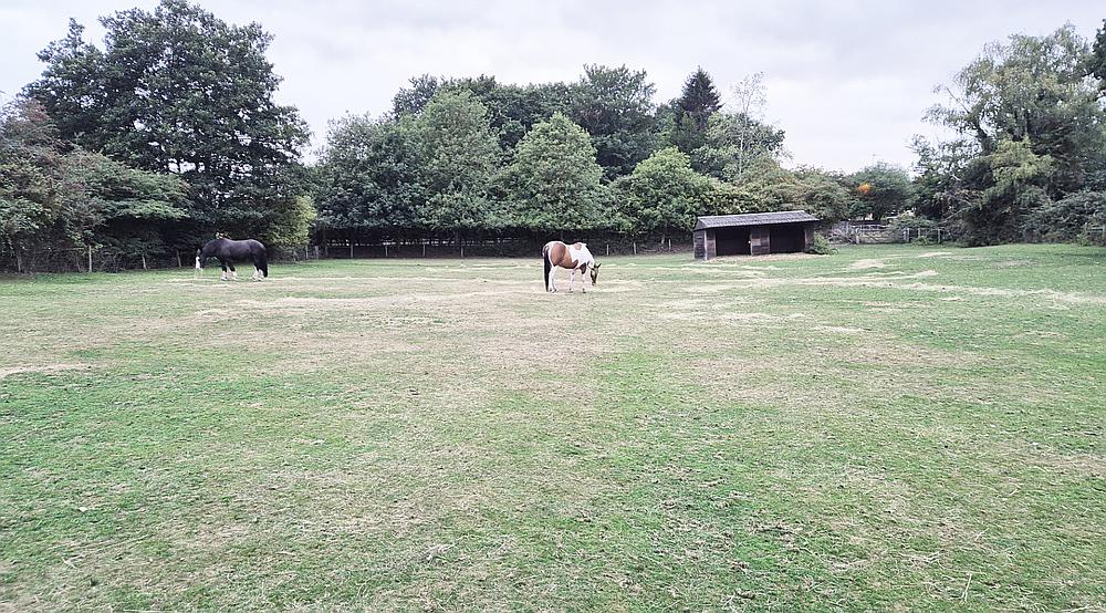 South Wootton CAMBRIDGESHIRE