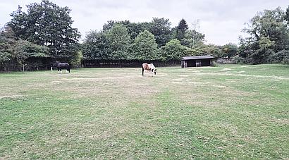 South Wootton  NORFOLK