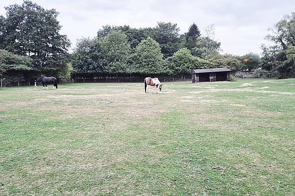 South Wootton  NORFOLK