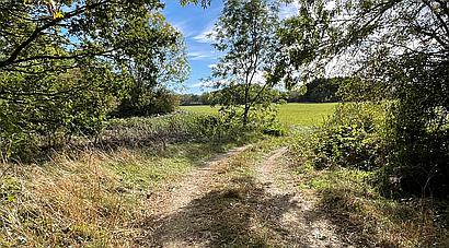 Martin LINCOLNSHIRE