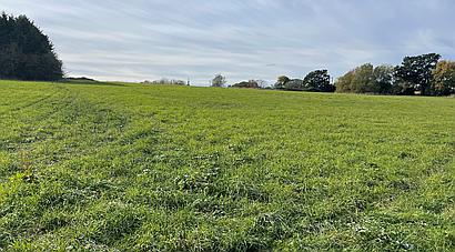 Martin LINCOLNSHIRE