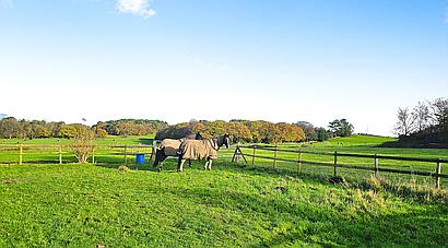 Biddulph Moor STAFFORDSHIRE