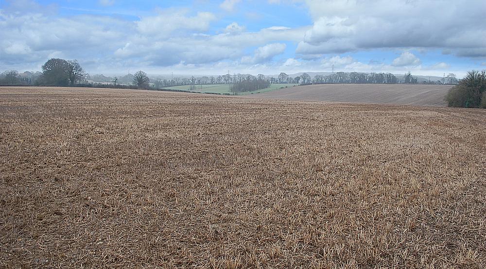 Property for Sale Crondall SURREY Rural Scene