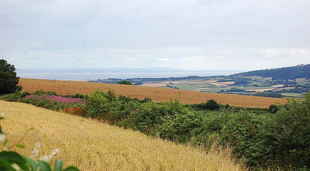 Property for Sale Lydeard St Lawrence SOMERSET Rural Scene