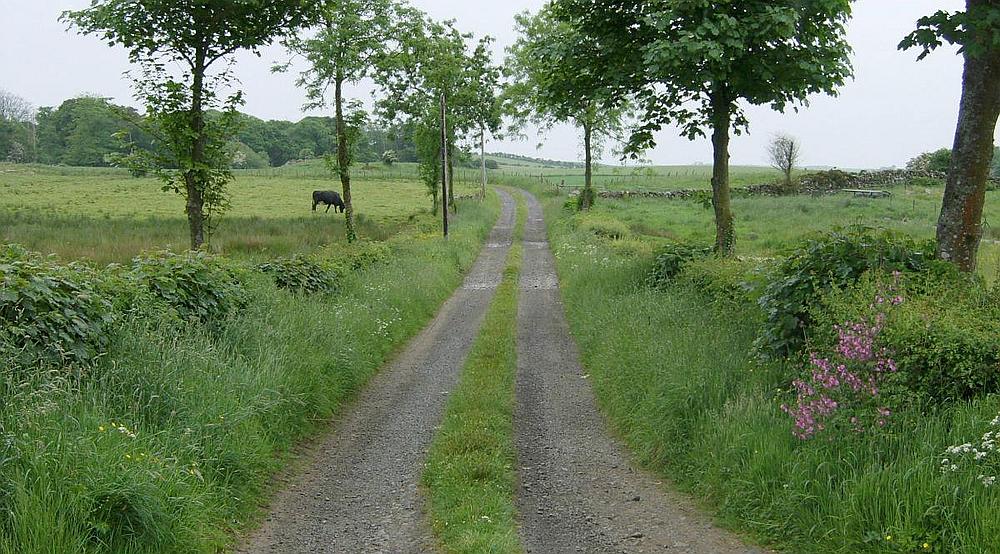 Property for Sale Sorbie WIGTOWNSHIRE Rural Scene