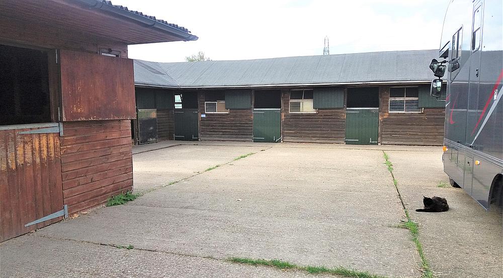 Property for Sale Wickford ESSEX Rural Scene