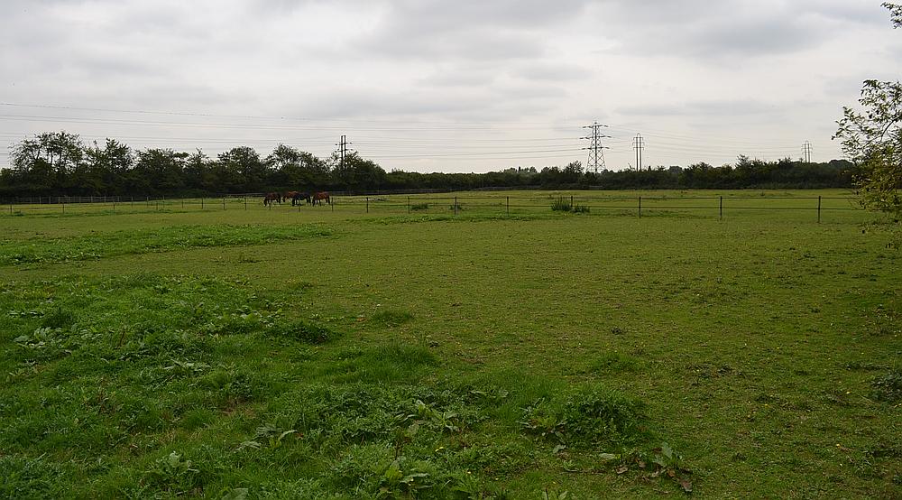 Property for Sale Wickford ESSEX Rural Scene