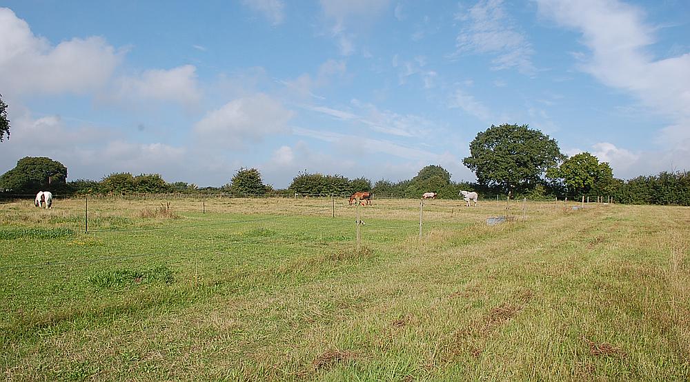 Property for Sale Ashford KENT Rural Scene
