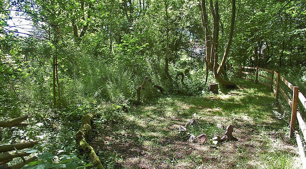 Property for Sale Marlborough WILTSHIRE Rural Scene