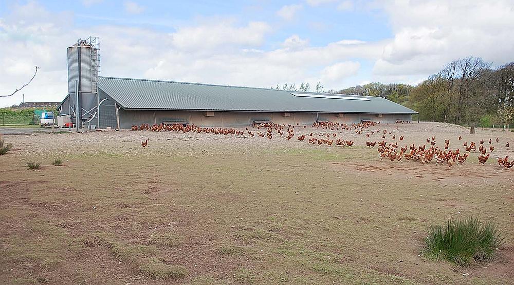 Property for Sale Winkleigh DEVON Rural Scene