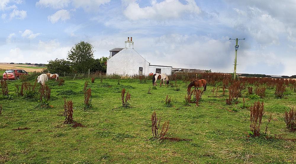 Property for Sale New Pitsligo, Aberdeenshire Rural Scene