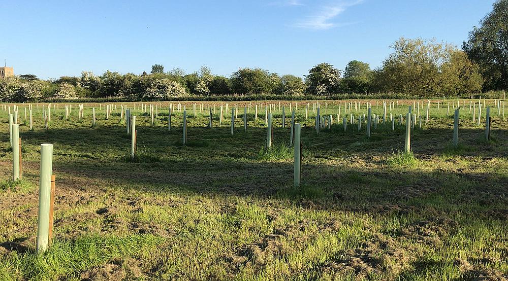 Property for Sale Swavesey CAMBRIDGESHIRE Rural Scene