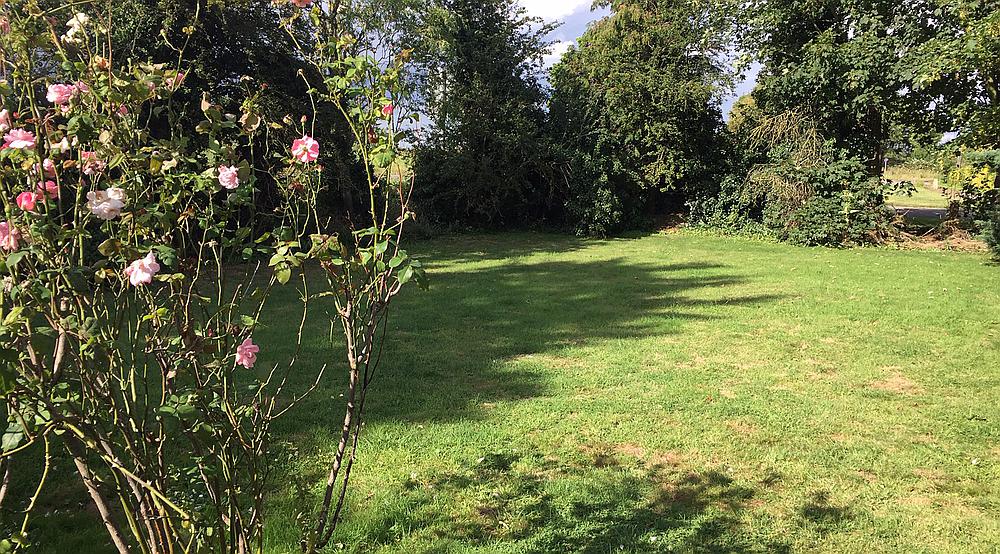 Property for Sale Wisbech CAMBRIDGESHIRE Rural Scene